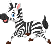 zebra olm